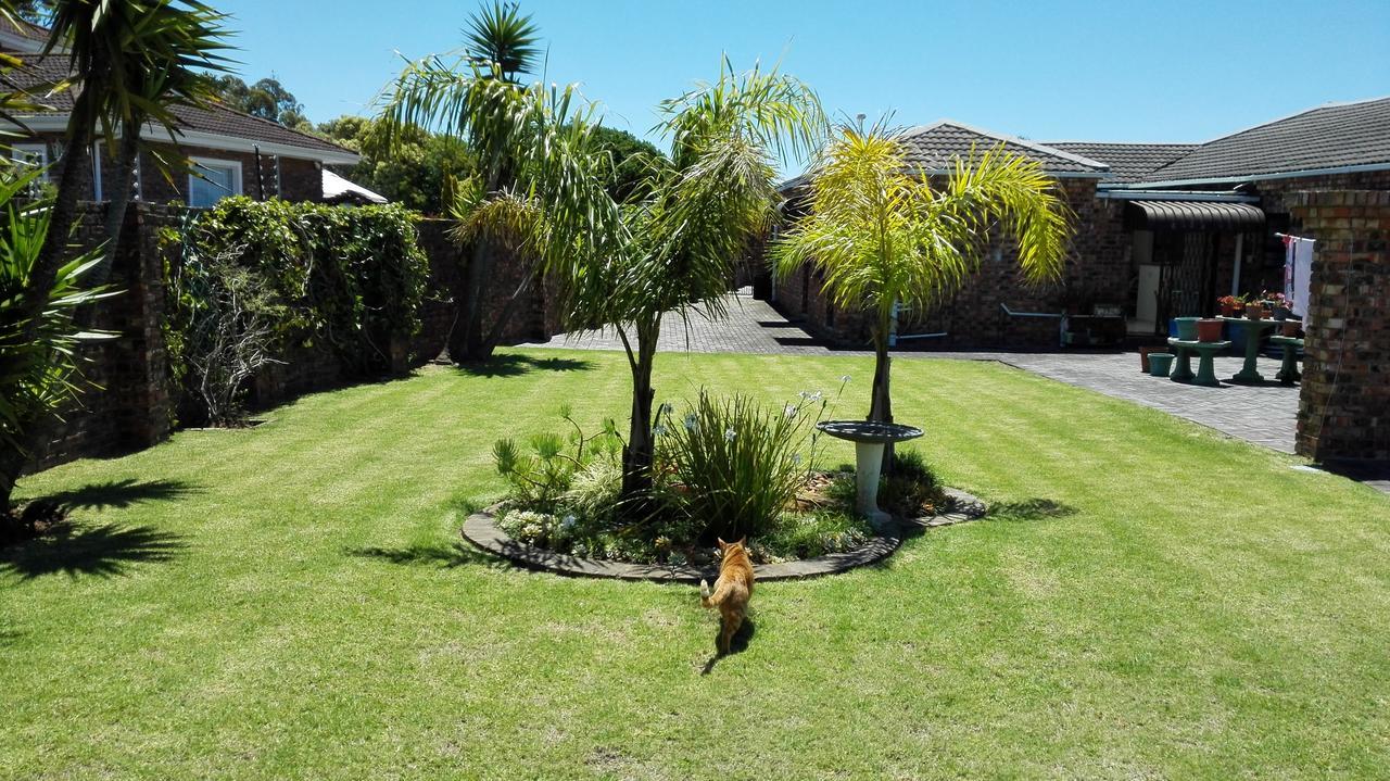 Humewood Home Stay Port Elizabeth Luaran gambar